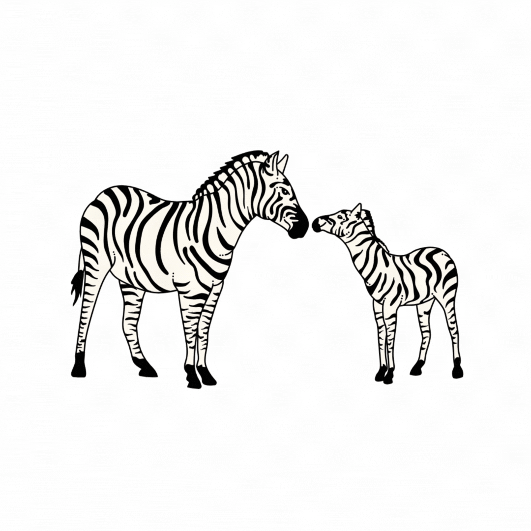 Z is for Zebra